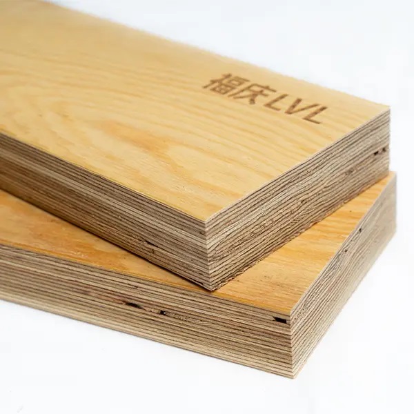 Sustainability and Efficiency