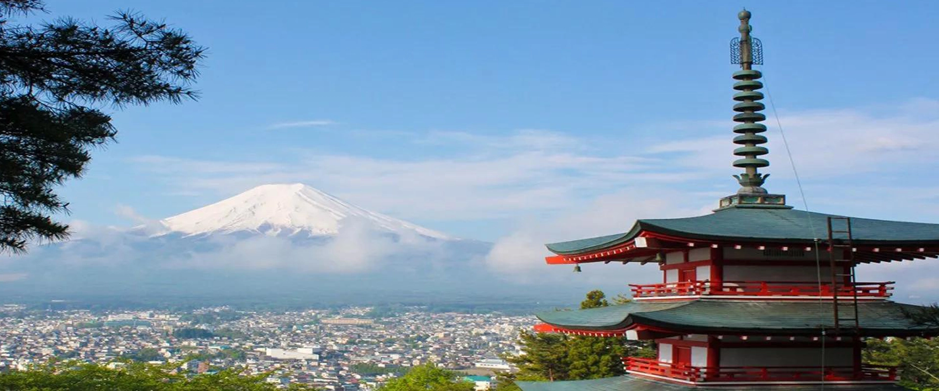 일본의 LVL 프로젝트