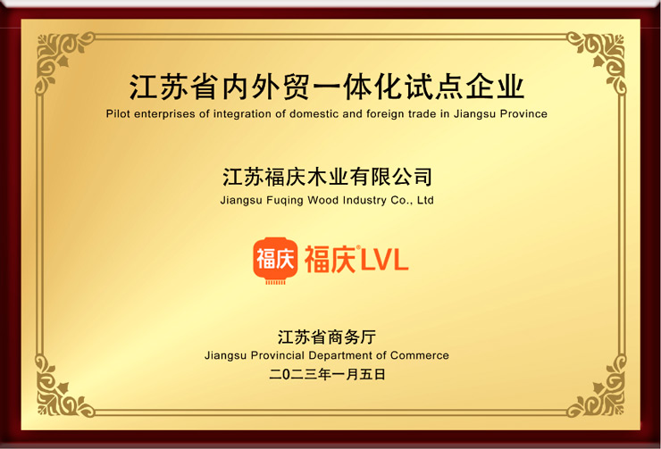 Look Back 2023 | Reach the Highest Heights with the New Glory!