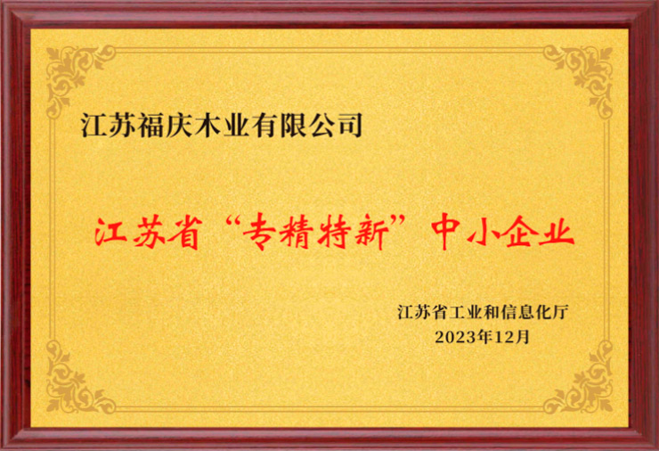 Look Back 2023 | Reach the Highest Heights with the New Glory!