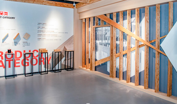 Look Back 2023 | Reach the Highest Heights with the New Glory!