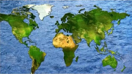 Master Moisture Content, Fear No Wood Deformation!