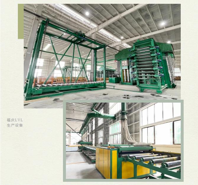 Fuqing LVL Sets a New Benchmark at the Munich Building Materials Expo!