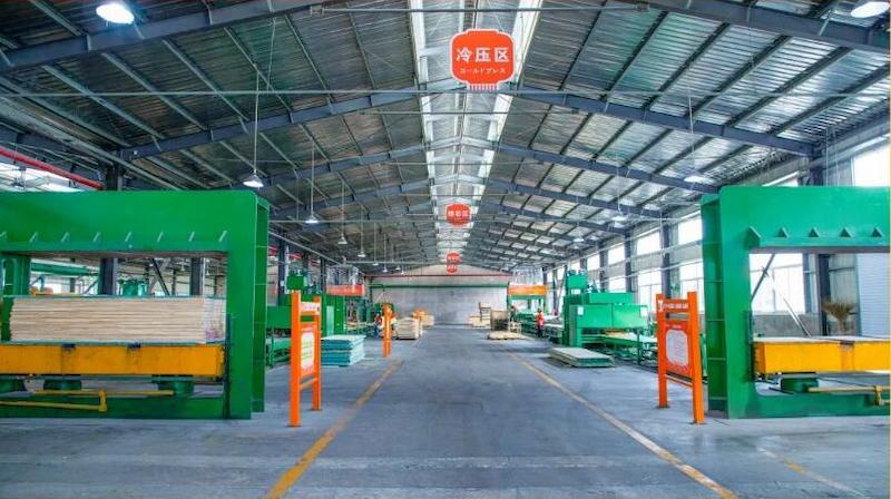 Fuxing Wood Industry Awarded the Title of 2023 Jiangsu Province Specialized and New ''Little Giant'' Enterprise