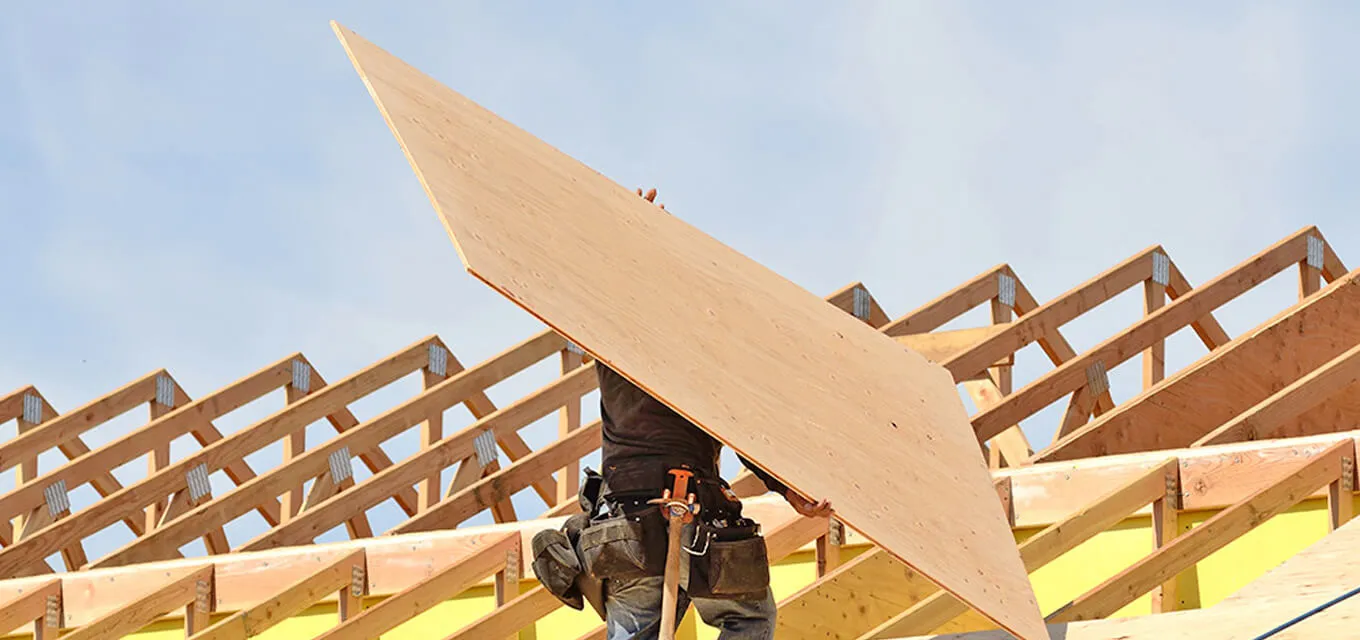 옥외 합판의 신청