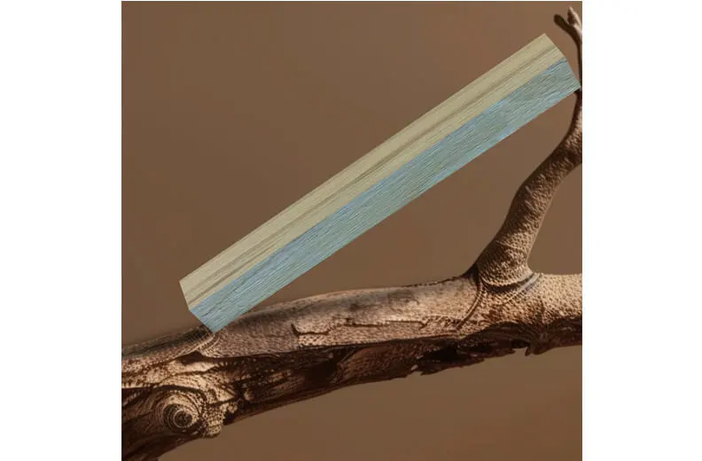 Lvl 응용 프로그램