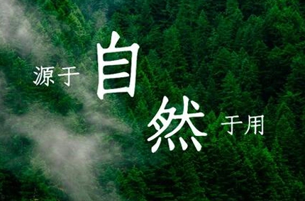 자연과의 조화 | 품질 보드의 환경 비밀 탐색