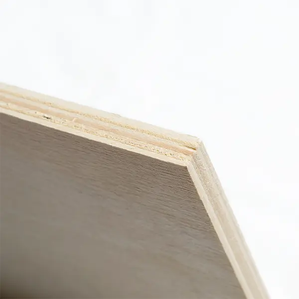 비 구조 플라이