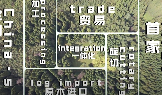 푸칭 우드 산업: 중국 최초의 완전 통합 LVL 기업, 로그 수입, 베니어 필링, 가공 및 무역 결합