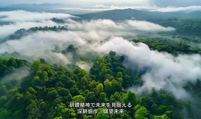 푸칭: 우수성에 뿌리를 둔 장인 정신의 세기, 세계에 봉사