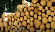 35 년의 품질 재단, 소스에서 제어!